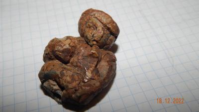 DSCN5813.JPG