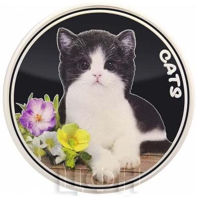 «2022 1 oz Fiji Cats .999 Silver Coloured Coin (Second release in series)».jpg
