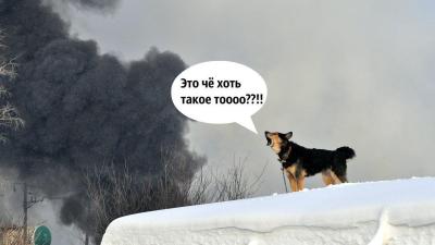 70396395-DE7C-4235-84E6-368185C2AF71.jpeg