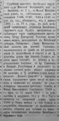 Golub Goryushino.jpg