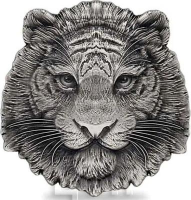 «TIGER Shaped 1 Oz Silver Coin 5000 Francs Chad 2022 Antique Finish».jpg