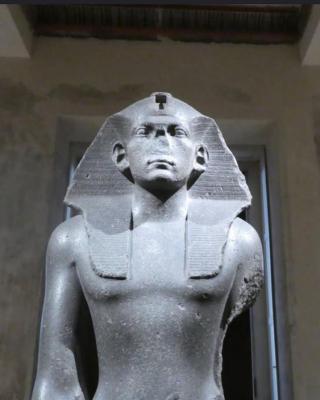 р85655 (4).jpg
