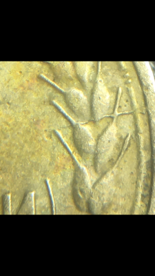 1D4E11CA-86D5-45BE-95D9-10631F328661.png