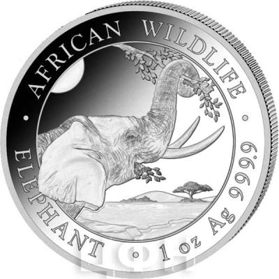 «100 SHILLINGS Ag 999.9 ELEPHANT».jpg