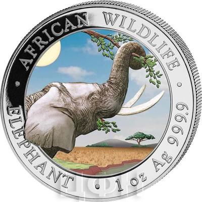 «ELEPHANT - 1 OZ - COLOR AFRICAN WILDLIFE».jpg