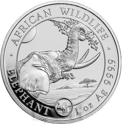«100 SHILLINGS Ag 999.9 ELEPHANT+».jpg