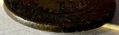 IMG_5899.jpg