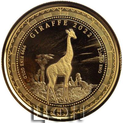 «3,000 Francs CFA (Eq. Guinea) GIRAFFE 2022».jpg