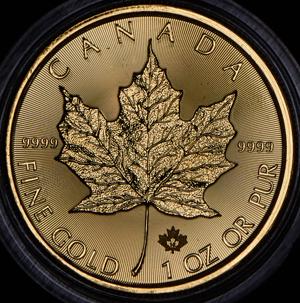 50-dollarov-2016-kanada_72865-2.jpg.b266161d2bdc6af38127d02478077f02.jpg