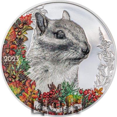 «Woodland Spirits – Chipmunk».jpg
