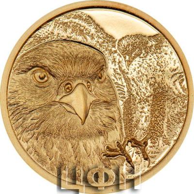 «Mongolian Falcon – Gold».jpg