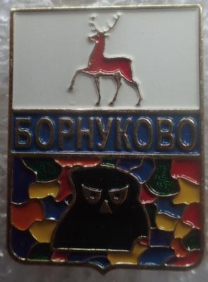Борнуково.jpg