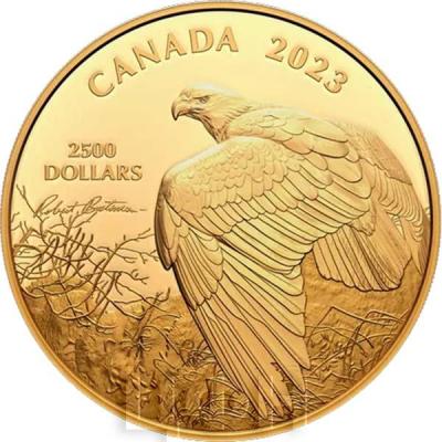 «1 Kilogram Pure Gold Coin – Vantage Point – Bald Eagle by Robert Bateman».jpg