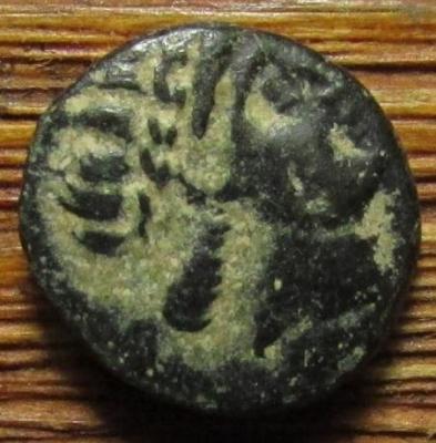 05.thumb.jpg.7c059897a5faf7dfc2d68392bab47320.jpg