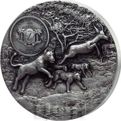 «PREDATORS - LION 3 OZ DE GREEF 5000 FRANCS IVORY COAST 2023 SILVER COIN ».jpg