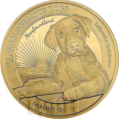 «3,000 francs, Cameroon 2023, Labrador Retriever».jpg
