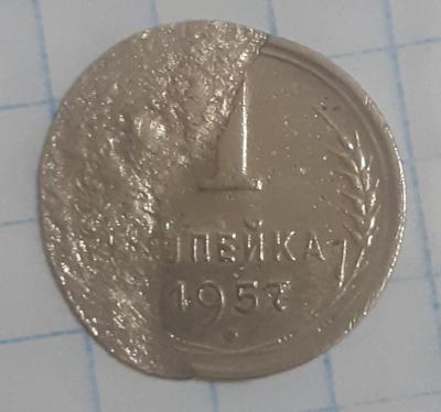 20230326_205549.jpg