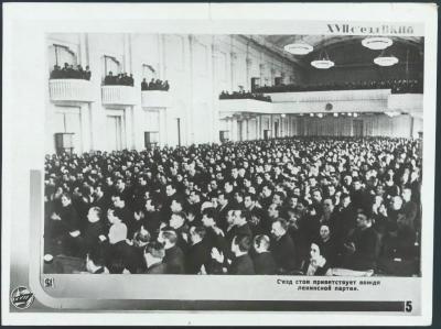 nza52b33aab0949b.jpg