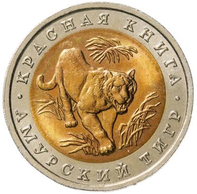 1098095_big.jpg