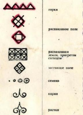 Без имени.jpg
