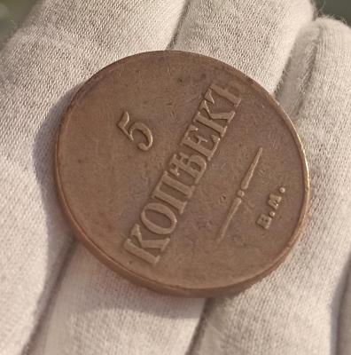 1682057365000.jpg