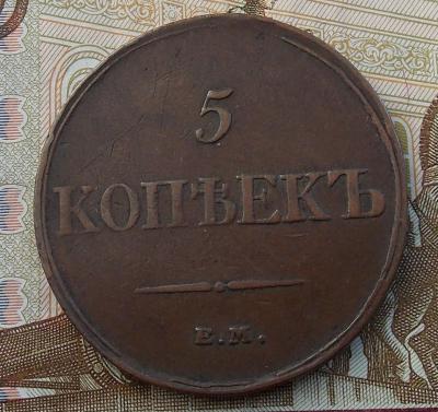 5_1833_em_fh_5.thumb.jpg.85dc5c0d9740bb56d3cba1900f595bfe.jpg