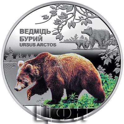 medved.thumb.jpg.9dc01a28c83439a28c76cdc297ce4994.jpg