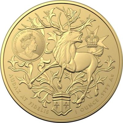 «2023 QUEENSLAND gold».jpg