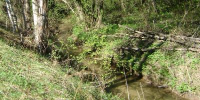 dsc01683.thumb.jpg.33e1ae3fc4038d68a52802e7c41e26d2.jpg
