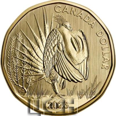 «6-Coin Specimen Set – Greater Sage-Grouse» (2).jpg