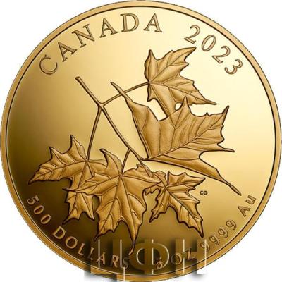 «Pure Gold Coin – Beloved Maple Leaves».jpg