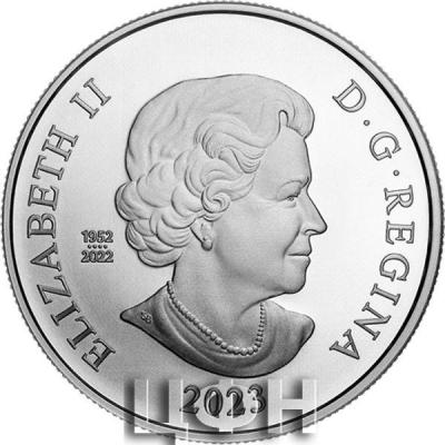 «$5 Pure Silver Coin».jpg