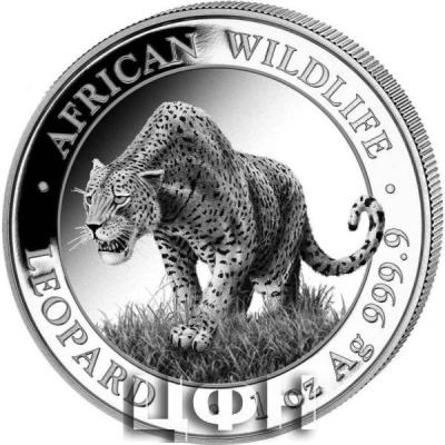 «2023 AFRICAN WILDLIFE - SILVER LEOPARD».jpg