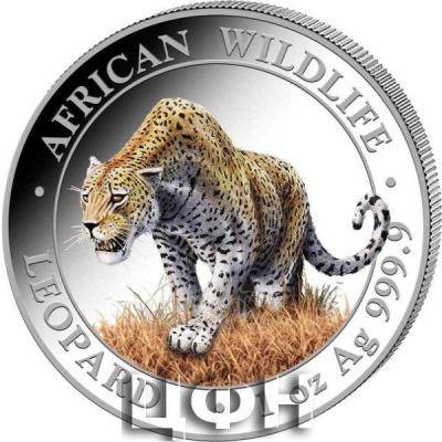 «2023 AFRICAN WILDLIFE - SILVER color LEOPARD».jpg