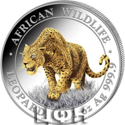 «2023 AFRICAN WILDLIFE - SILVER GOLD LEOPARD».jpg