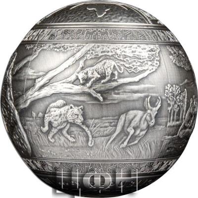 «THE LIGHTNING LEOPARD ON 1 KG PURE SILVER 3».jpg
