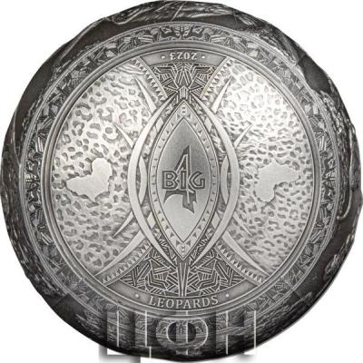 «THE LIGHTNING LEOPARD ON 1 KG PURE SILVER 5».jpg