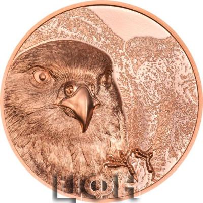 «250 Togrog Mongolian Falcon Copper».jpg