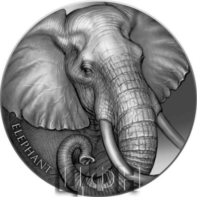 «ELEPHANT Expressions of Wildlife 2 Oz Silver Coin 2000 Francs Cameroon 2023 Antique Finish ».jpg