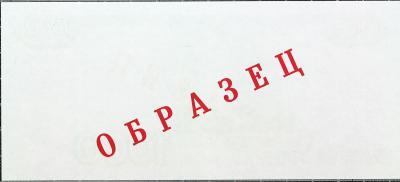 1000-2.jpg