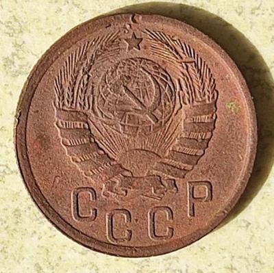 32235626.jpg