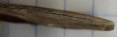 IMG20230607133852.jpg