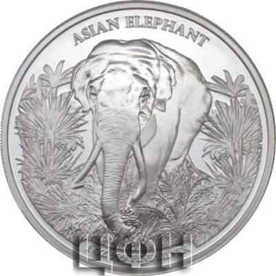 «2023 Cambodia 1 oz Silver Asian Elephant BU».jpg