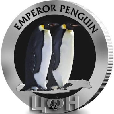 «EMPEROR PENGUIN - 2023 PROOF FINE 1OZ SILVER COLOURED WITH A PEARL BLACK FINISH £2 COIN».jpg
