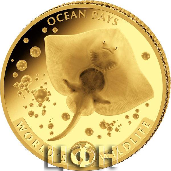 «20 FRANCS 2023 Au .999 WORLD'S WILDLIFE».jpg