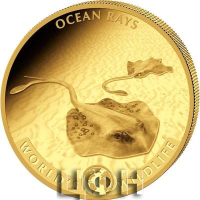 «25 FRANCS 2023 Au .999 WORLD'S WILDLIFE».jpg