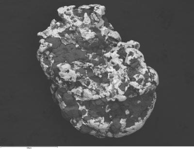 Alesh_NeelectromagnitFr_SEM7.jpeg