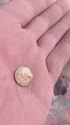 IMG-20230610-WA0020.jpeg