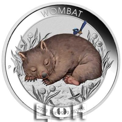 «WOMBAT 2023».jpg