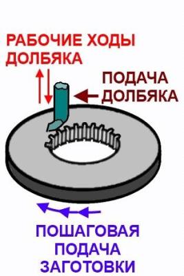kolco_narezka840x471.thumb.jpg.e25710e68c160a54232deb6293e83c43.jpg
